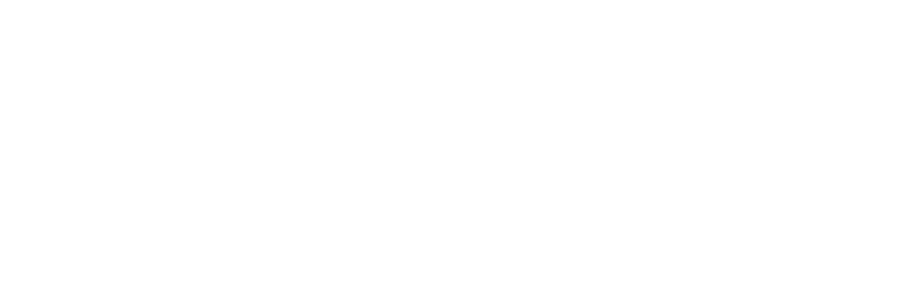 AV Global Express